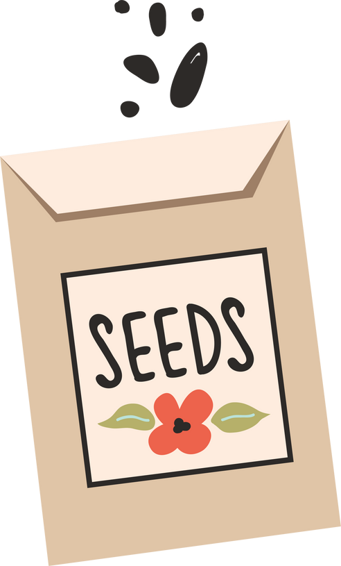 Flower Seeds Illustration